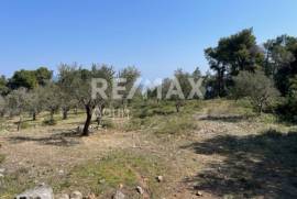 Agricultural 4205 sq.m for sale