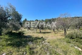 Agricultural 4205 sq.m for sale