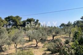 Agricultural 4205 sq.m for sale