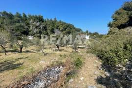 Agricultural 4205 sq.m for sale