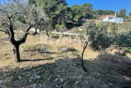 Agricultural 4205 sq.m for sale