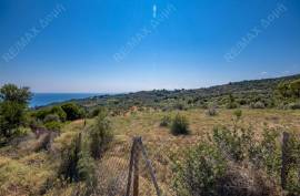 Agricultural 8058 sq.m for sale