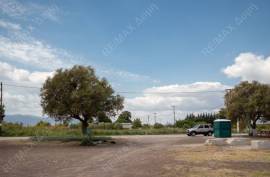 Agricultural 4032 sq.m for sale