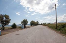 Agricultural 4032 sq.m for sale