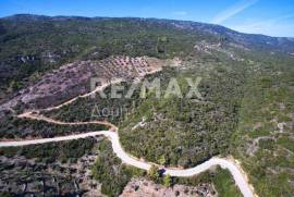 Agricultural 5900 sq.m for sale