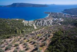 Agricultural 5900 sq.m for sale