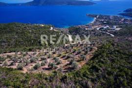 Agricultural 5900 sq.m for sale