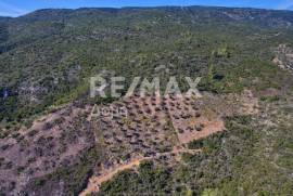Agricultural 5900 sq.m for sale