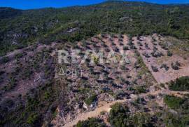 Agricultural 5900 sq.m for sale