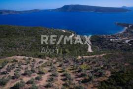 Agricultural 5900 sq.m for sale