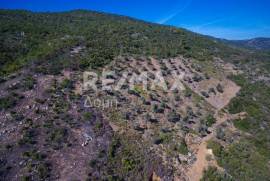 Agricultural 5900 sq.m for sale
