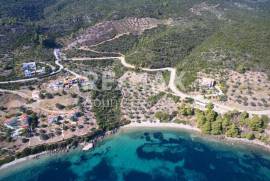 Agricultural 5900 sq.m for sale