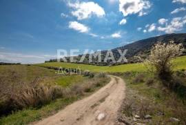 Agricultural 38550 sq.m for sale