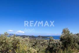 Agricultural 13922 sq.m for sale