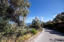 Agricultural 13922 sq.m for sale