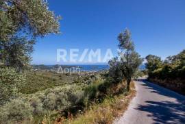 Agricultural 13922 sq.m for sale