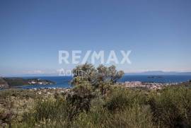 Agricultural 13922 sq.m for sale
