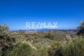 Agricultural 13922 sq.m for sale