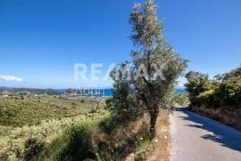 Agricultural 13922 sq.m for sale