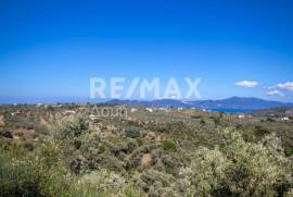 Agricultural 13922 sq.m for sale