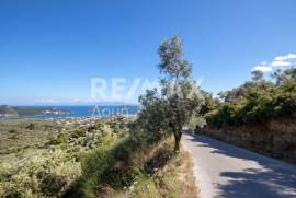 Agricultural 13922 sq.m for sale