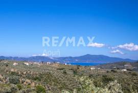 Agricultural 13922 sq.m for sale