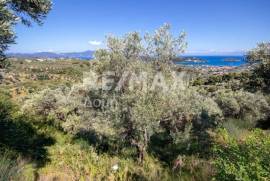Agricultural 13922 sq.m for sale
