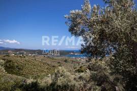 Agricultural 13922 sq.m for sale