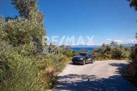 Agricultural 13922 sq.m for sale