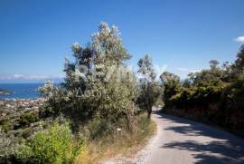 Agricultural 13922 sq.m for sale