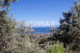 Agricultural 13922 sq.m for sale