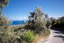 Agricultural 13922 sq.m for sale