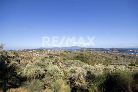 Agricultural 13922 sq.m for sale