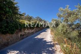 Agricultural 13922 sq.m for sale