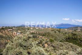Agricultural 13922 sq.m for sale