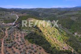 Agricultural 18960 sq.m for sale Agricultural 18960 sq.m for sale