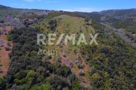 Agricultural 18960 sq.m for sale Agricultural 18960 sq.m for sale