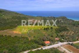 Agricultural 18960 sq.m for sale Agricultural 18960 sq.m for sale