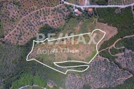 Agricultural 18960 sq.m for sale Agricultural 18960 sq.m for sale