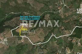 Agricultural 18960 sq.m for sale Agricultural 18960 sq.m for sale