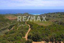 Agricultural 18960 sq.m for sale Agricultural 18960 sq.m for sale