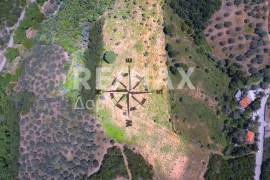 Agricultural 18960 sq.m for sale Agricultural 18960 sq.m for sale