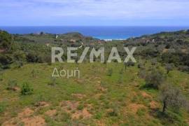 Agricultural 18960 sq.m for sale Agricultural 18960 sq.m for sale