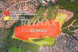 Agricultural 18960 sq.m for sale Agricultural 18960 sq.m for sale