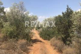 Agricultural 25656 sq.m for sale