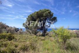 Agricultural 4050 sq.m for sale