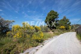Agricultural 4050 sq.m for sale