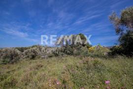 Agricultural 4050 sq.m for sale