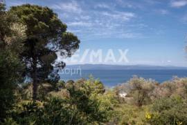 Agricultural 4050 sq.m for sale