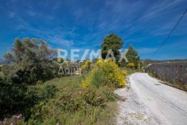 Agricultural 4050 sq.m for sale